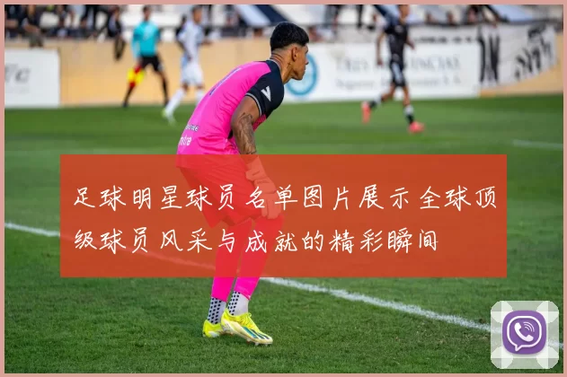 足球明星球员名单图片展示全球顶级球员风采与成就的精彩瞬间