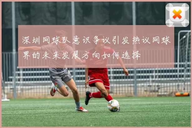 深圳网球队意识争议引发热议网球界的未来发展方向如何选择