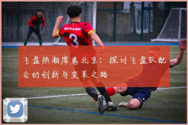 飞盘热潮席卷北京：探讨飞盘队配合的创新与变革之路