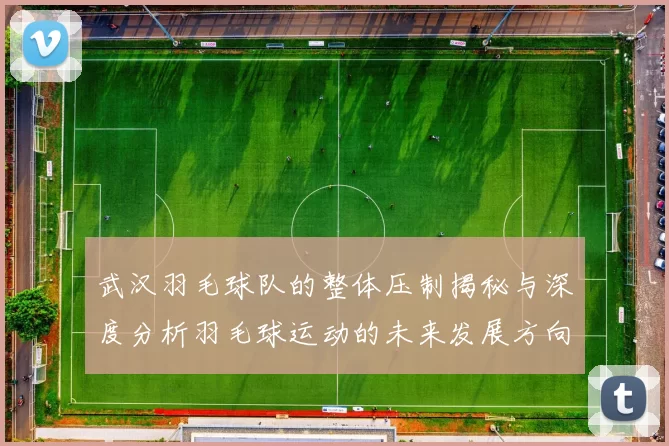 武汉羽毛球队的整体压制揭秘与深度分析羽毛球运动的未来发展方向