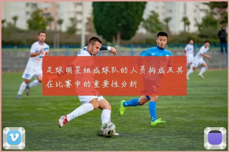 足球明星组成球队的人员构成及其在比赛中的重要性分析