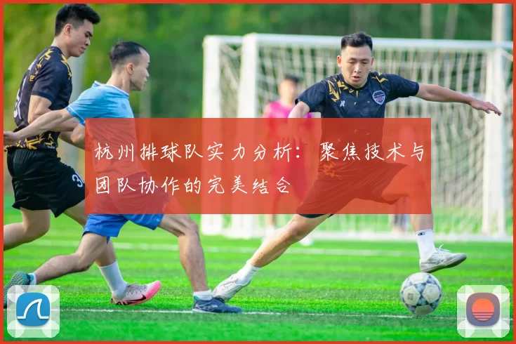 杭州排球队实力分析：聚焦技术与团队协作的完美结合