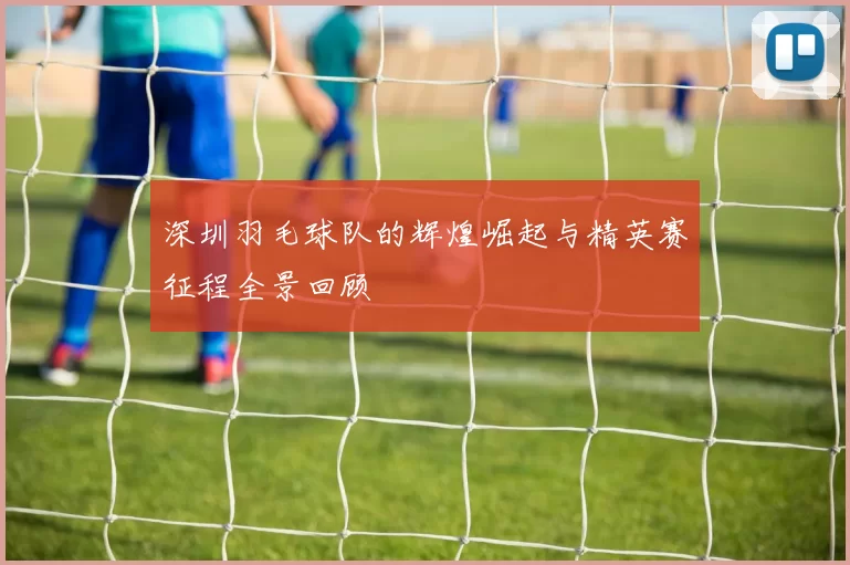 深圳羽毛球队的辉煌崛起与精英赛征程全景回顾