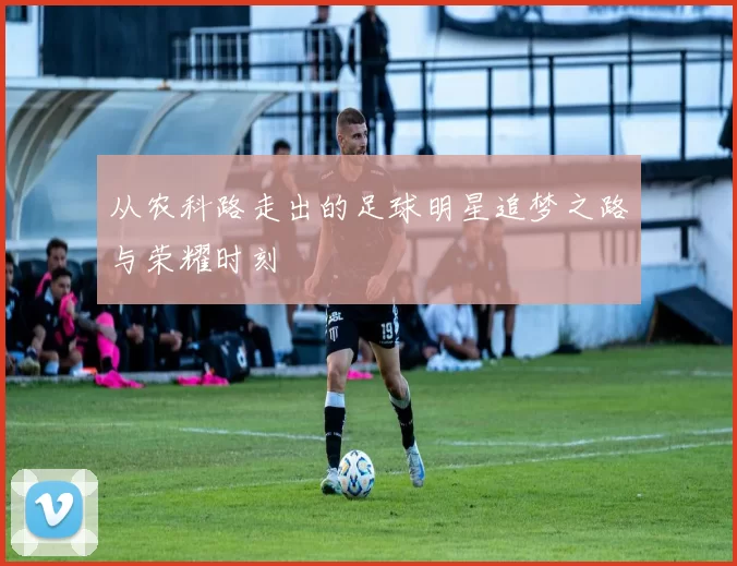 从农科路走出的足球明星追梦之路与荣耀时刻